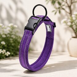 Specifications of XL Purple Heavy Duty Dog Collar