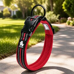Specifications of XS Heavy Duty Reflective Dog Collar