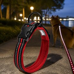 Heavy Duty Dog Collar - M Size, Red with Stainless Steel O Ring