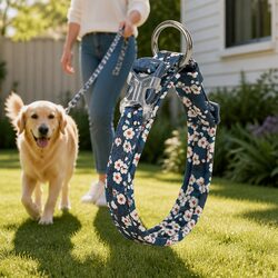 Floral Dog Collar XS Blue Padded Comfortable Pet Accessory Snap Buckle Leash