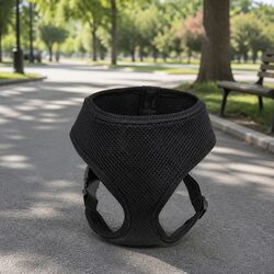 Specifications of Dog Harness with Steel D Ring - XS