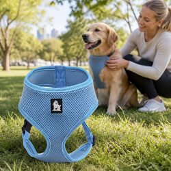 Steel D Ring Mesh Dog Harness - Small Blue Size