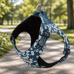 Floral Dog Harness in Blue - Lightweight & Adjustable