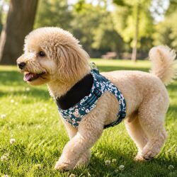 Floral Dog Harness - Large Size, Blue Cotton Material