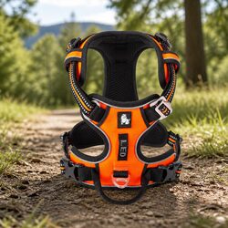 Durable XL No Pull Dog Harness with 3M Reflectors