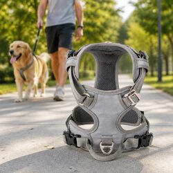 No Pull Dog Harness Breathable Mesh Reflective Strap S M L XL Adventurer Pet