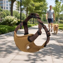 Dog Harness with Adjustable Straps and Attachment Points
