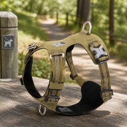 Specifications of Lightweight No Pull Dog Harness M Size