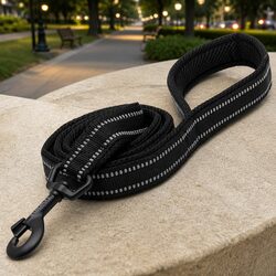 Reflective Dog Leash, 2m Nylon, XS, Black with Swivel Hook