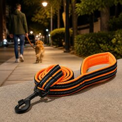 Reflective Dog Leash 2m Nylon Large - Specs You Need