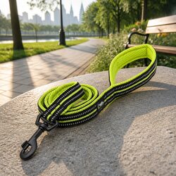 2m Reflective Nylon Dog Lead with Swivel Hook and Padding