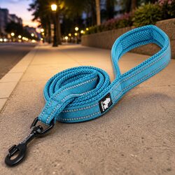 Reflective Dog Leash 2m M Size with Ergonomic Design