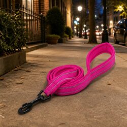 Specifications of Reflective Dog Leash 2m Pink XS