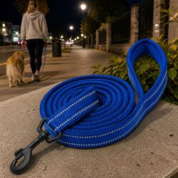 Specifications of the Reflective Dog Leash 2m Nylon Lead
