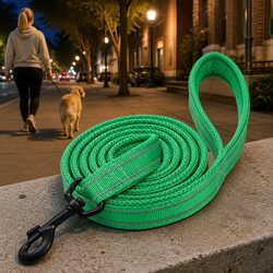 Specs of Reflective Dog Leash 2m, Nylon with Padding
