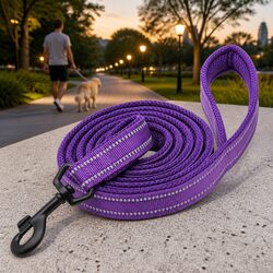 Reflective Nylon Dog Lead 2m XS Purple with Ergonomic Design