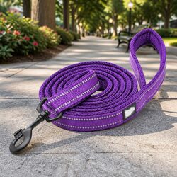Reflective Nylon Dog Lead 2m Medium Purple for Large Dogs
