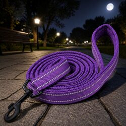 2m Reflective Dog Leash in Purple for Large Pets