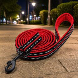 Specifications of the 2m Reflective Dog Leash XS in Red