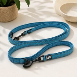 Versatile Dog Lead: 135cm and 175cm Adjustable Lengths