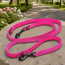 Multi-Function Pink Dog Lead Specifications and Features
