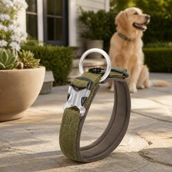 XS Dog Collar Specifications: Active Puppies & Small Dogs