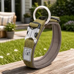 High-density Polyester Dog Collar Army Green 2XL