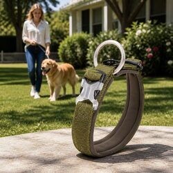 Specifications of Army Green Dog Collar 3XL with Lead