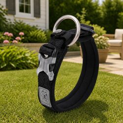 Dog Collar 2XS Black Reflective Lead Attachment Active Puppy Pet