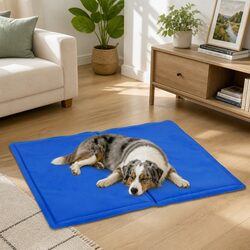 Pet Cooling Cushion, 65cm x 50cm Blue Gel Ice Mat