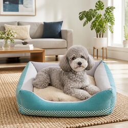 Medium Dog Bed Specifications: Comfortable and Washable
