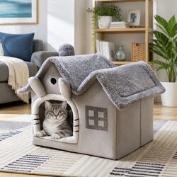 Dragon Cat Dog House with Dimensions and Specifications