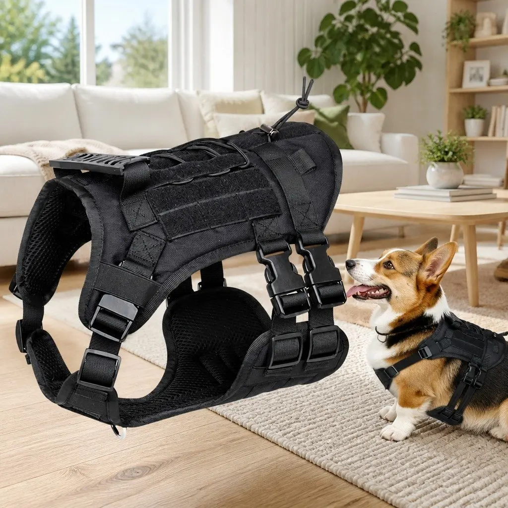 Black Dog Chest Strap Harness with Dispenser