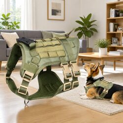 Puppy Harness Set - Green Chest Strap and Poop Bag Details