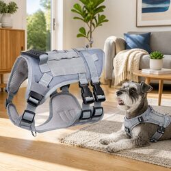 Small Pet Vest Harness: Specifications & Features