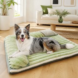 Specifications of the Green Velvet Dog Bed with Reversible Design