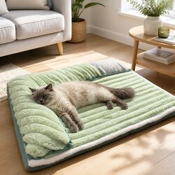 Green Velvet Dog Bed: 60x45x12.5cm, Detachable and Washable
